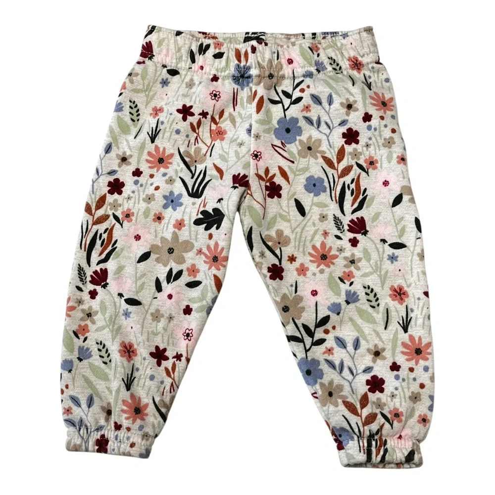 Garanimals |‎ Floral Spring 2 piece Set Outfit Long Sleeve  Shirt Pull On Pants